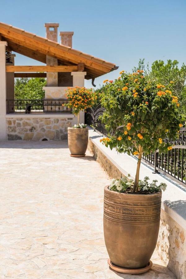 Villa Hirundo Rustica